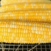 Four ears of corn on the cob on a wire rack.