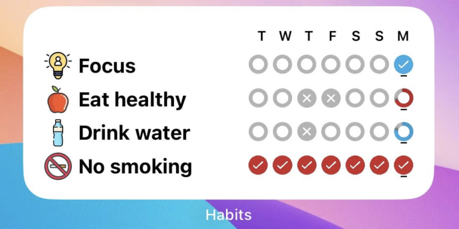 The home screen widget for the application Habituator, which features four habits—focus, eat healthy, drink water, and no smoking. Each habit has a row of check boxes the user can tap. 