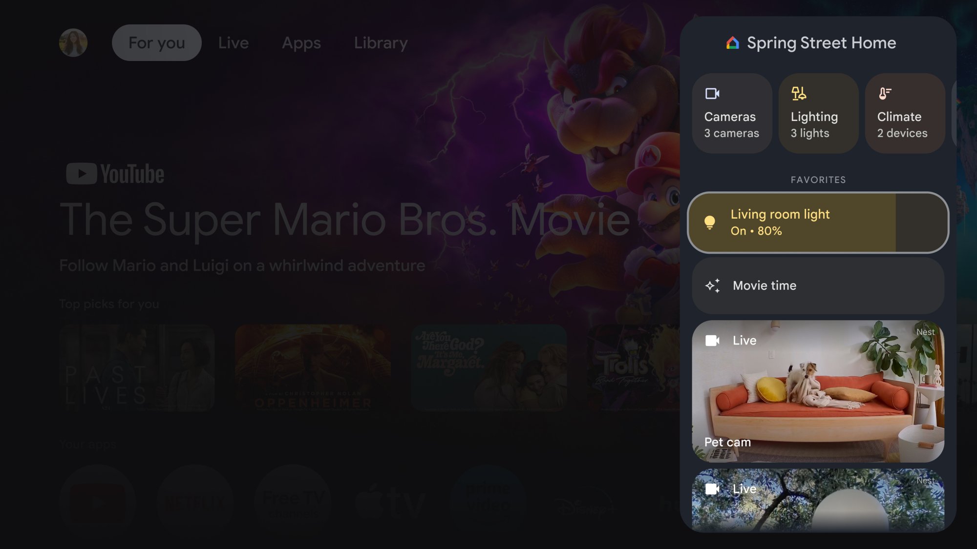 Google Home panel on Google TV Streamer