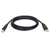 USB 2.0 A转B线缆(M/M)， 10 ft. (3.05 M) U022-010-R